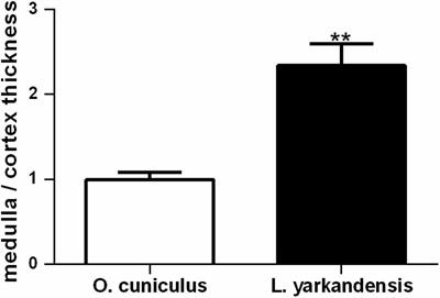 Higher Expression Levels of Aquaporin Family of Proteins in the Kidneys of Arid-Desert Living Lepus yarkandensis